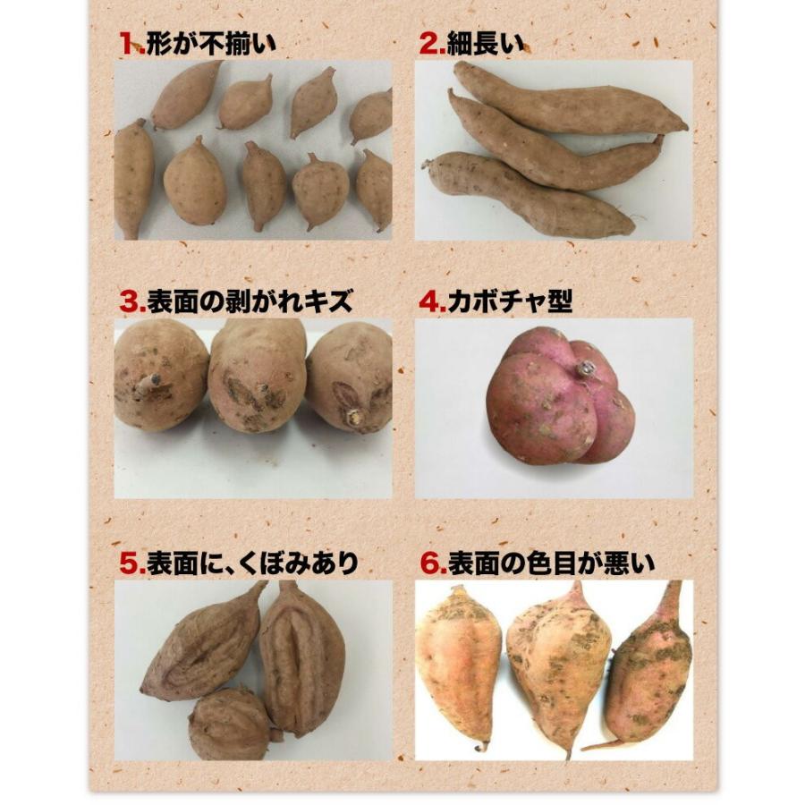 安納芋 訳あり 種子島産 安納いも 蜜芋 S〜Lサイズ混合 4kg 送料 安納芋 訳あり 種子島産 安納いも 蜜芋 S〜Lサイズ混合 4kg 送料