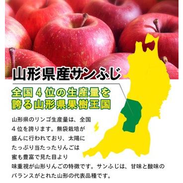 りんご 訳あり サンふじ 山形県産  サイズ不ぞろい 家庭用５kg 送料無料 果物 フルーツ グルメ Y常｜kuishinboucom｜02