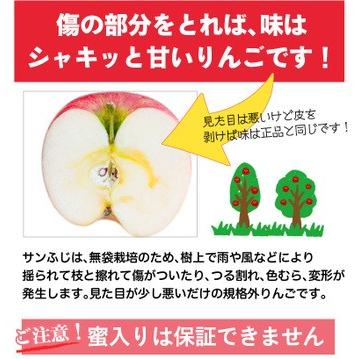 りんご 訳あり サンふじ 山形県産  サイズ不ぞろい 家庭用５kg 送料無料 果物 フルーツ グルメ Y常｜kuishinboucom｜04