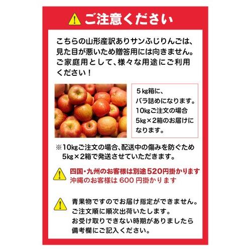 りんご 訳あり サンふじ 山形県産  サイズ不ぞろい 家庭用５kg 送料無料 果物 フルーツ グルメ Y常｜kuishinboucom｜05