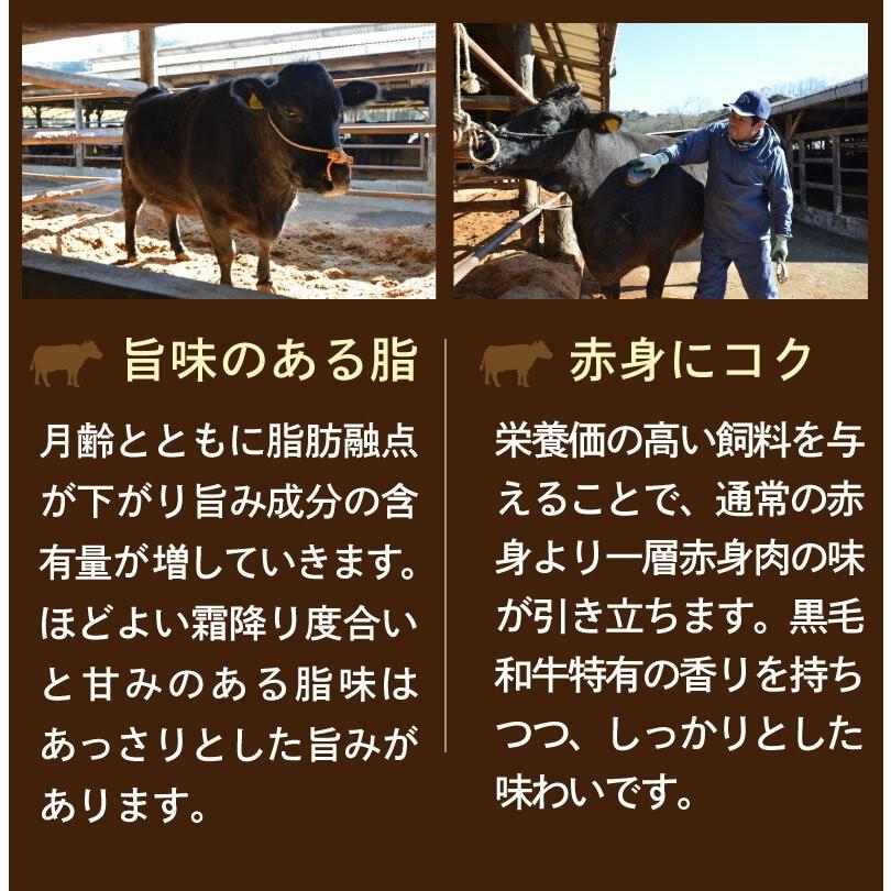 和牛丼の具 160g×４袋 国産 宮崎県産 黒毛和牛 大盛り レトルト ポイント消化 グルメ メール便｜kuishinboucom｜07