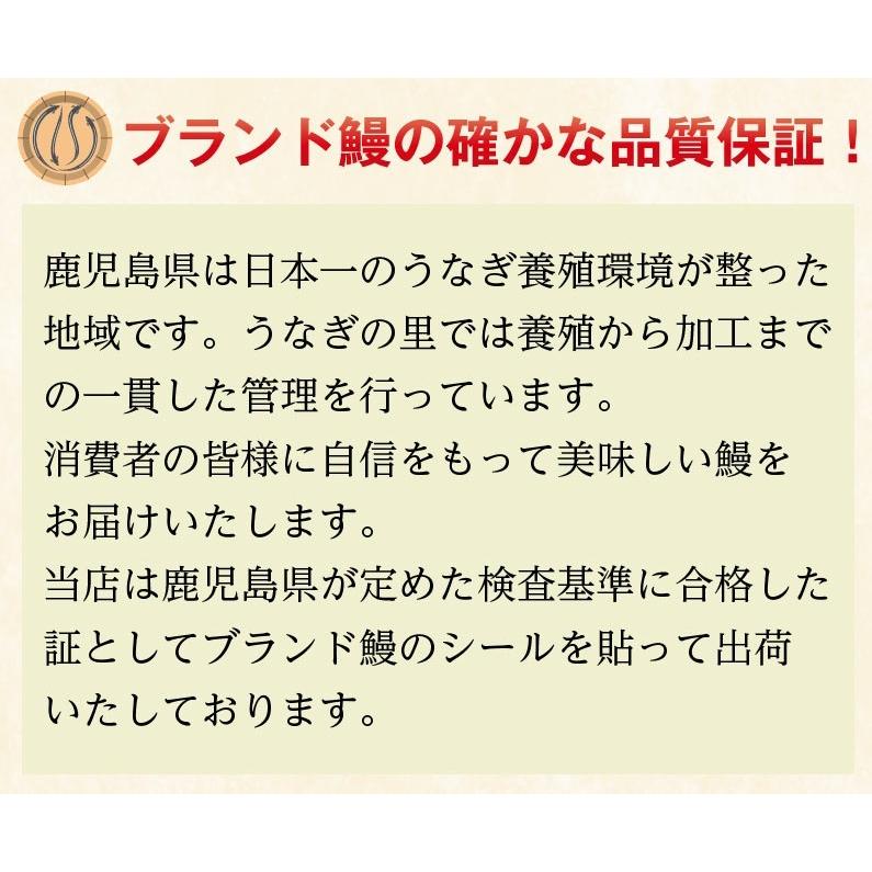 うなぎ 蒲焼き 国産ウナギ(訳あり）鹿児島産ブランド鰻　ちょこっと訳あり 極上長蒲焼き1kg 大小混在無選別 タレ山椒付 クール｜kuishinboucom｜15