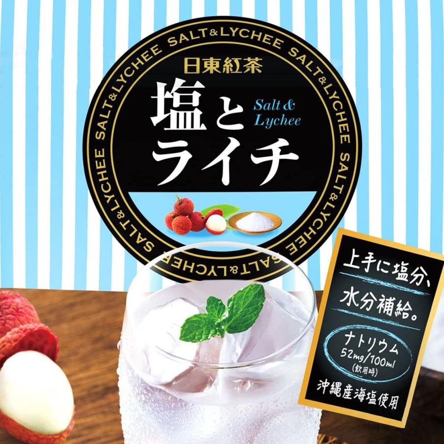 日東紅茶 塩とライチ 流行に ランキングや新製品 スティック16本 16杯分 送料無料 〜 ポイント消化 セット
