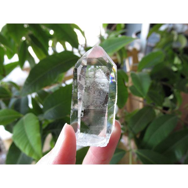 コロンビア産 レムリアンシードクリスタル エンジェルラダー 最高品質