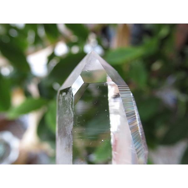 コロンビア産 レムリアンシードクリスタル エンジェルラダー 最高品質