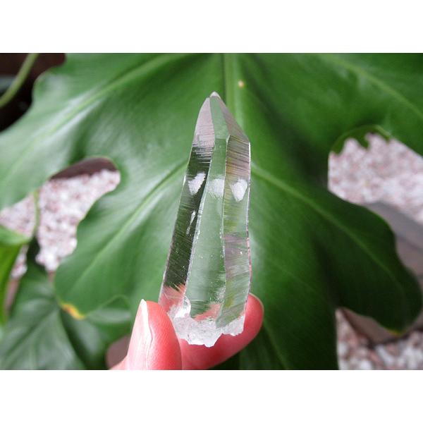 品質満点 コロンビア産 通販 鬮石 販売 原石 水晶 最高品質 レムリアンシードクリスタル 占い 開運 Lifeinlacruz Com