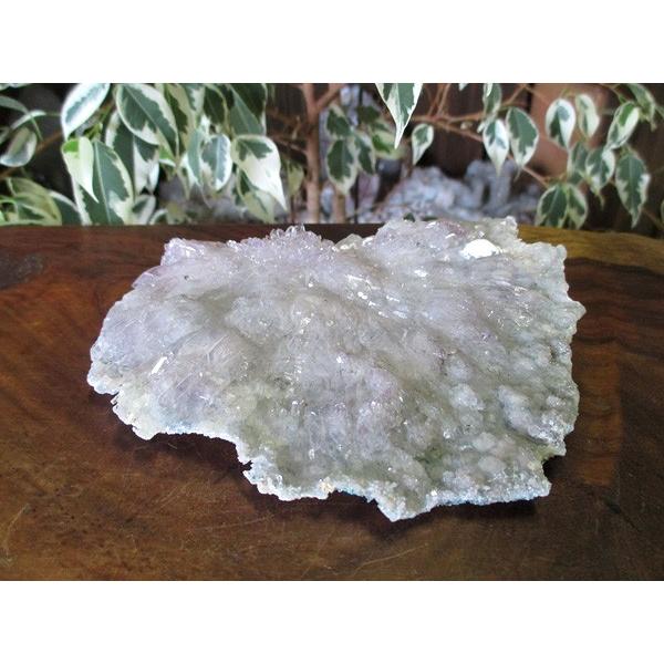 フラワーアメジスト 紫水晶 原石 |  通販/天然石専門店販売 | 鬮石