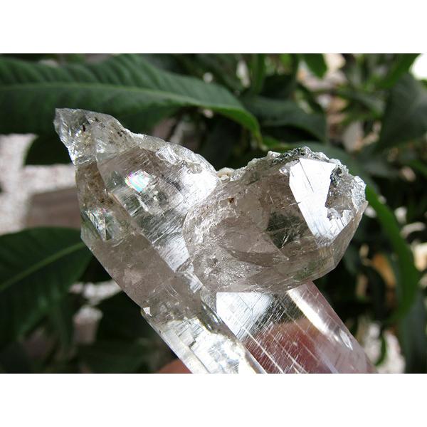 ガネーシュヒマール産 ヒマラヤ水晶 原石 販売 通販 天然石専門店/鬮石