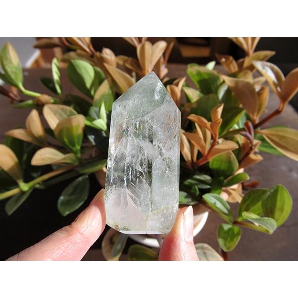 グリーンファントムガーデンクォーツ マダガスカル産 ポイント 水晶