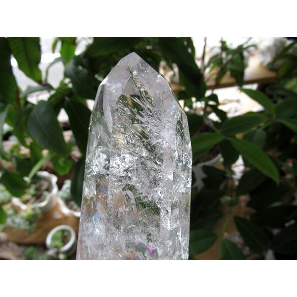 レインボースタッデッドクォーツ/天然水晶ポイント/トカンティンス州産