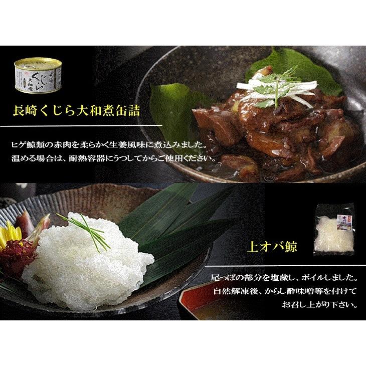 鯨 鯨肉 長崎くじら詰め合わせ（松）化粧箱付・送料無料 3009/3024