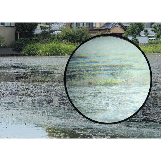 2ndオーナー様募集】VeraWang Delaney US2 （ヴェラウォン