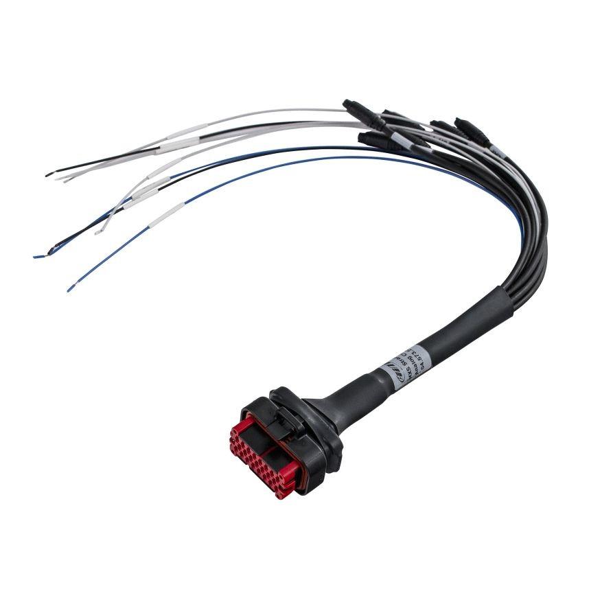 ☆【AIM Motorsport】MXS Strada 23いの一番AMP繋ぎ（馬具付）Version 1.1 (Black Plug) その他-スポーツ
