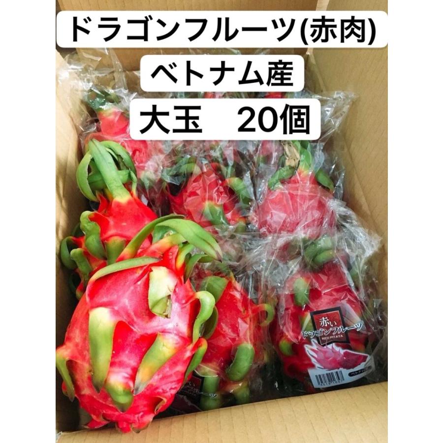 ドラゴンフルーツ 赤肉 ベトナム産 大玉 20個 約10kg 冷蔵発送｜kukuhaha