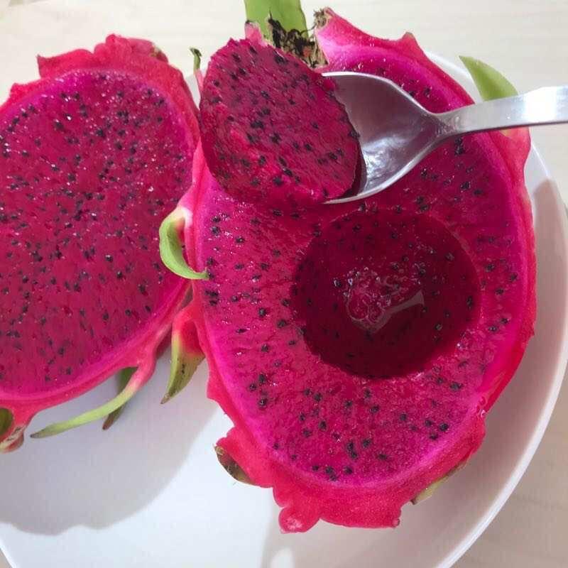 ドラゴンフルーツ 赤肉 大玉 ５個 約2 5kg サボテンの実 イスリ青果 通販 Yahoo ショッピング