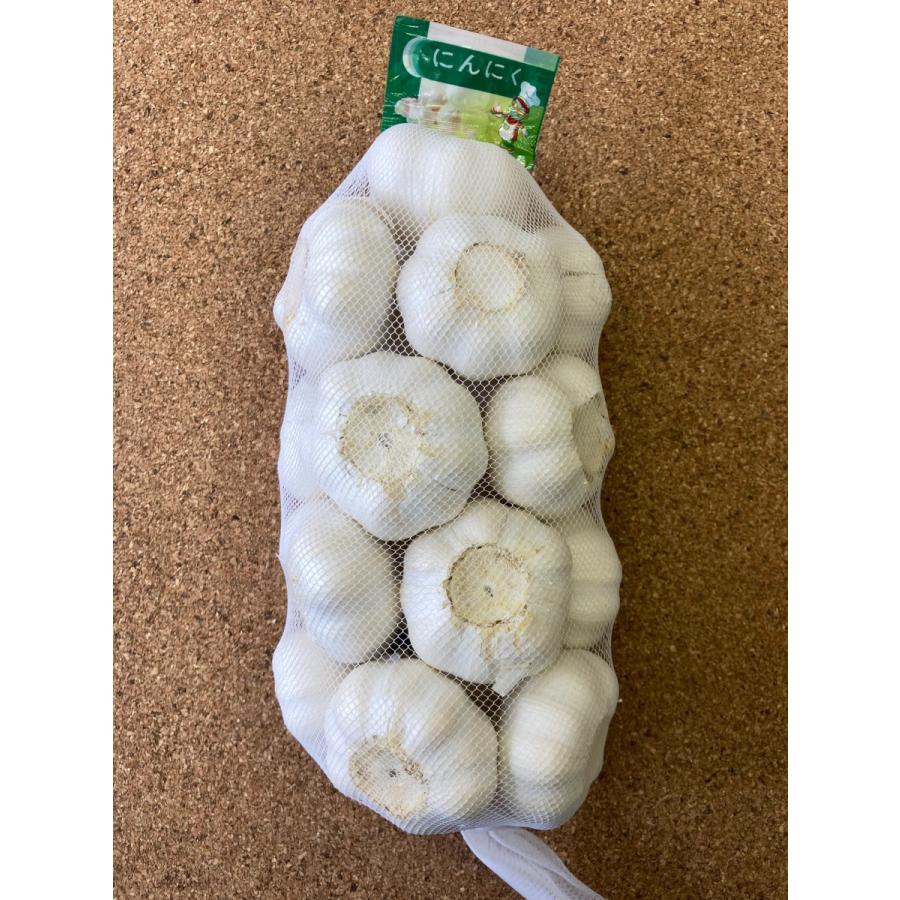 国内送料無料 にんにく ニンニク 10kg前後 中国産 Supplystudies Com