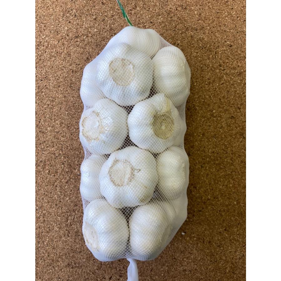 国内送料無料 にんにく ニンニク 10kg前後 中国産 Supplystudies Com