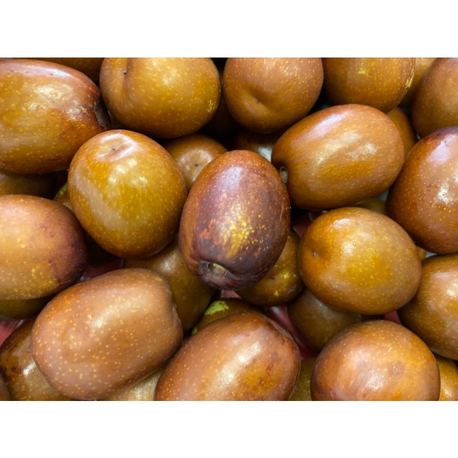 ナツメ なつめ 棗 夏目 2kg 生鮮 Fresh 生ナツメ フルーツ 果物 イスリ青果 通販 Yahoo ショッピング