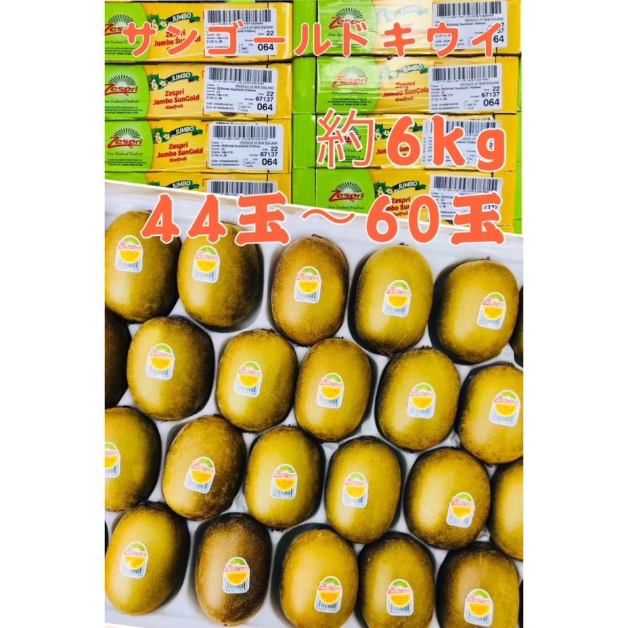 キウイ ゴールドキウイ 2箱 44 60玉 6kg以上 出色