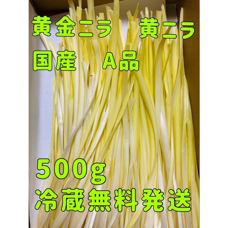【SALE／101%OFF】 岡山県特産 超高級食材 黄ニラ 秀品 約500g 約50g×10束 にら 韮 nikko-b.sakura.ne.jp