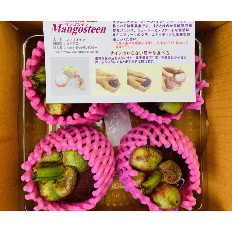 ベビーグッズも大集合 マンゴスチン 果物の女王 約1kg タイ産 10玉
