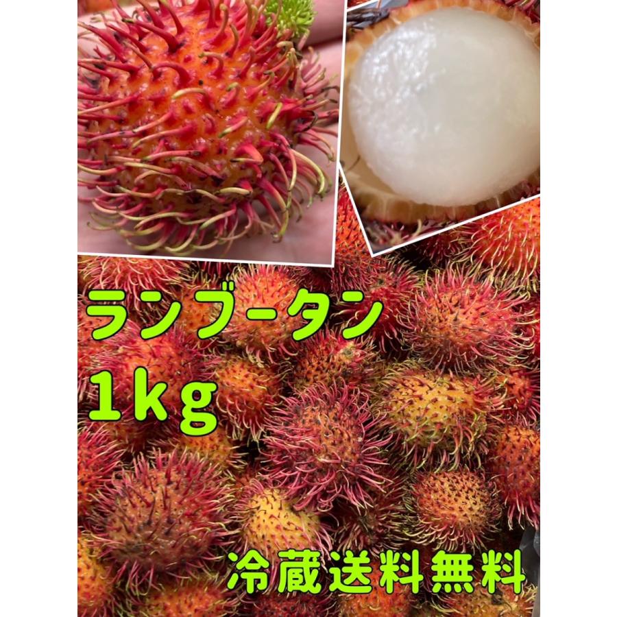 ランブータン Rambutan 1kg 冷蔵無料発送 メキシコ産 イスリ青果 通販 Yahoo ショッピング