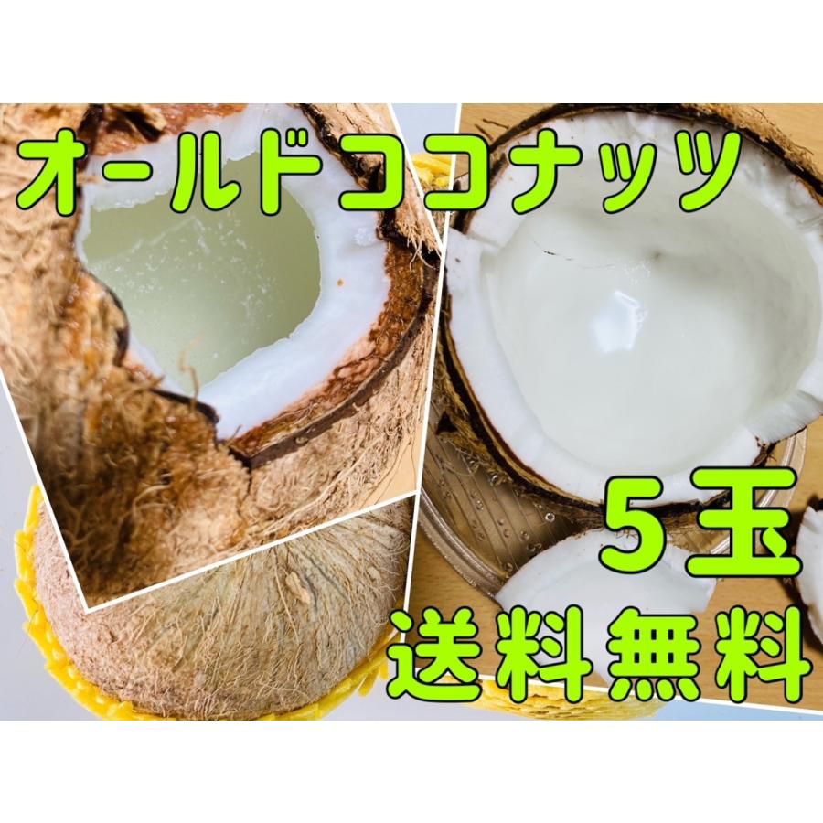 国内配送 ココナッツ オールドココナッツ ヤシの実 5玉 送料無料 ベトナム産 Sarozambia Com