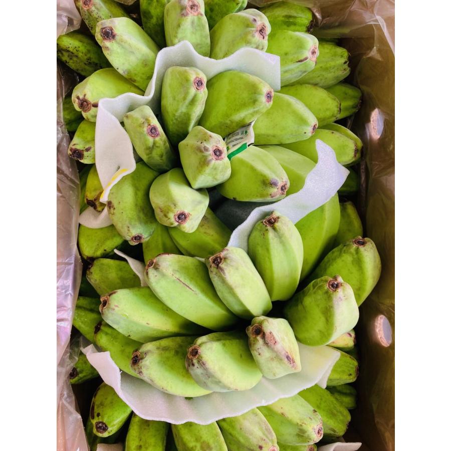 サババナナ Saba Banana 5房前後 約10kg フィリピン産 調理用バナナ 料理用バナナ 野菜バナナ イスリ青果 通販 Yahoo ショッピング