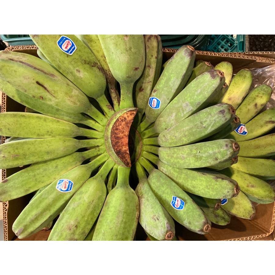 格安人気 サババナナ Saba Banana 5房前後 約10kg フィリピン産 調理用バナナ 料理用バナナ 野菜バナナ Aynaelda Com