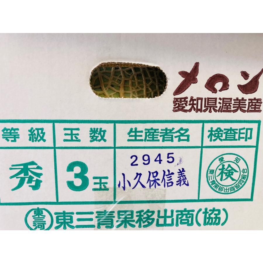 世界の人気ブランド メロン 北海道メロン 約1 6kg以上 ノースランドレッド 7月