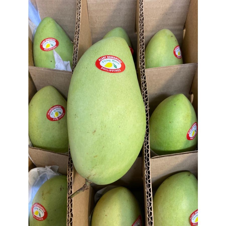 グリーンマンゴー フィリピン産 マンゴー 3玉前後 約1kg Green Mangoes イスリ青果 通販 Yahoo ショッピング