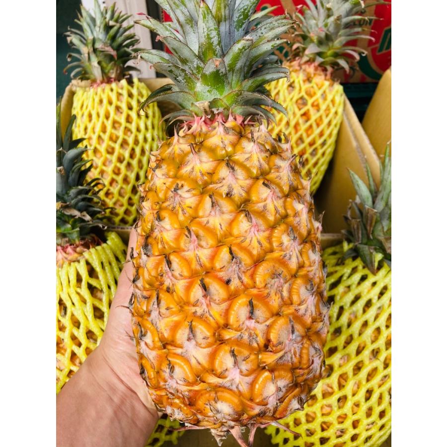 台湾パイン 約5kg 4玉前後 パイナップル 台湾産 21人気no 1の 4