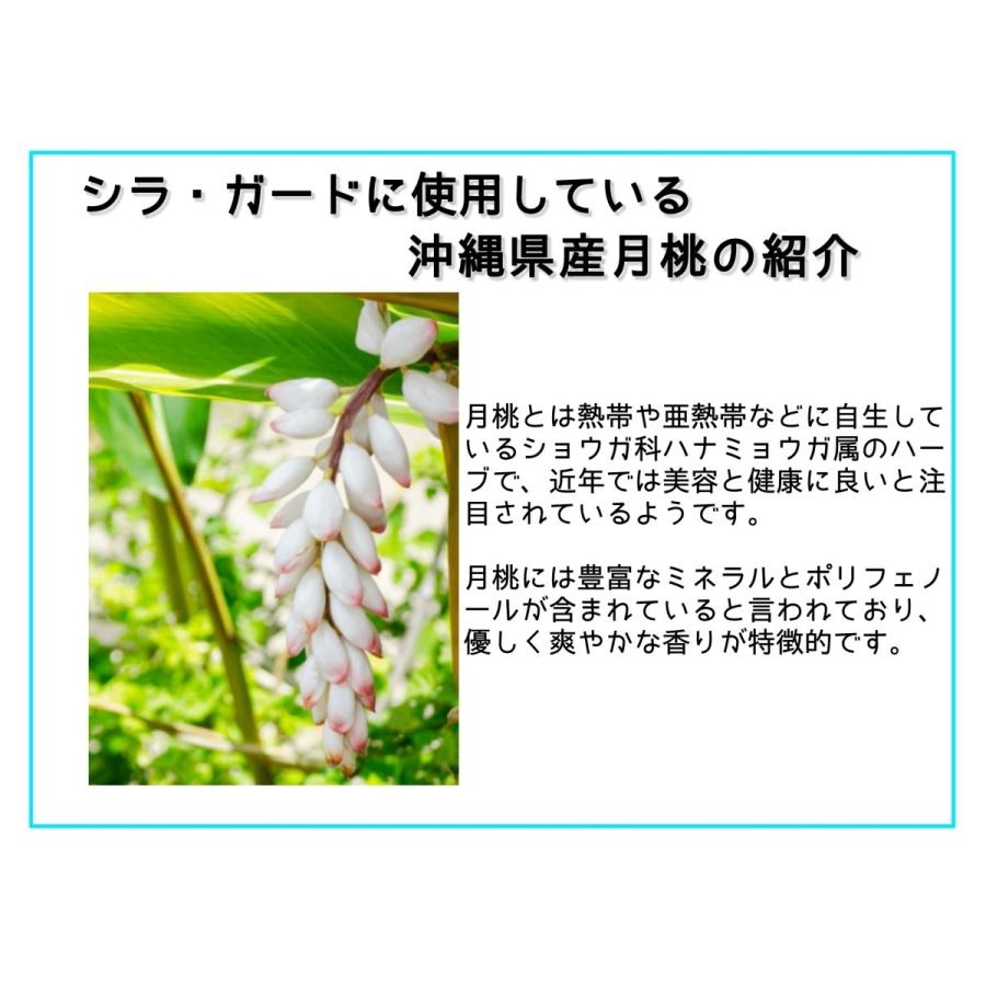 シラミ駆除 赤ちゃんや子供にも安心・安全な殺虫成分や化合添加物無しのシラ・ガード。頭しらみ対策に！ |  | 05