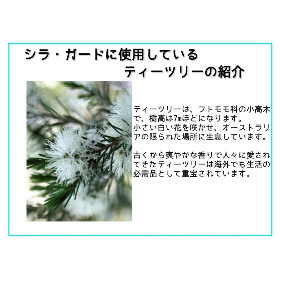 シラミ駆除 赤ちゃんや子供にも安心・安全な殺虫成分や化合添加物無しのシラ・ガード。頭しらみ対策に！ |  | 06