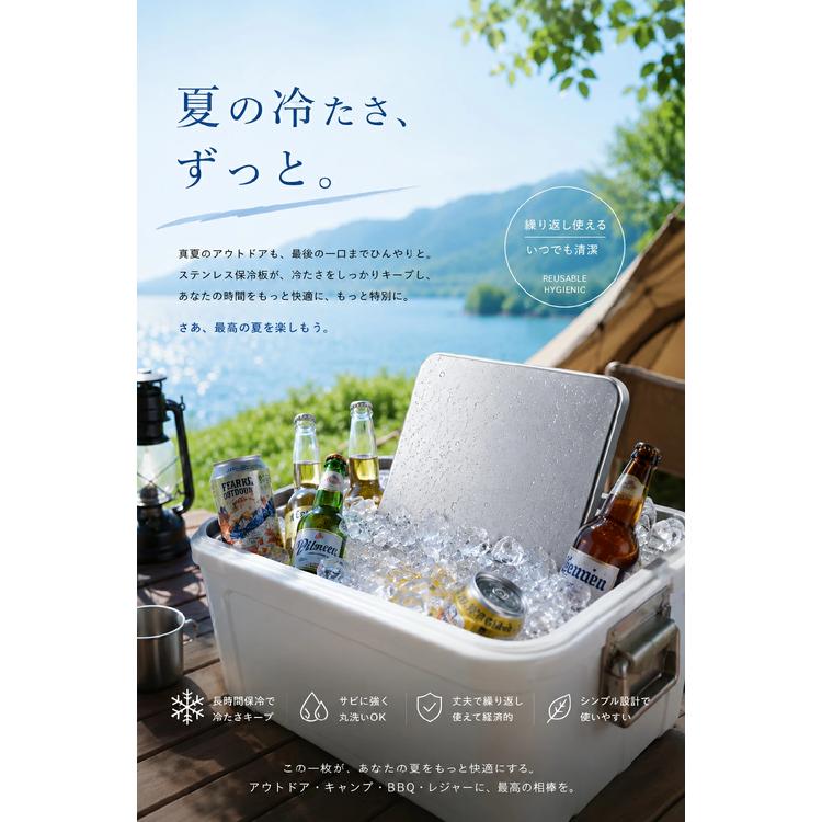 2枚セット】 2026年新発売 保冷剤 ステンレス アイスパック ステンレス 