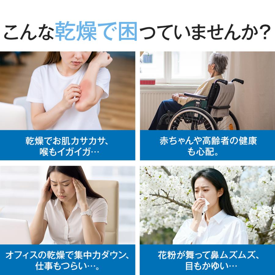 花粉対策！10％OFFで4122円】 加湿器 大容量 6L 卓上 超音波式 ダブル