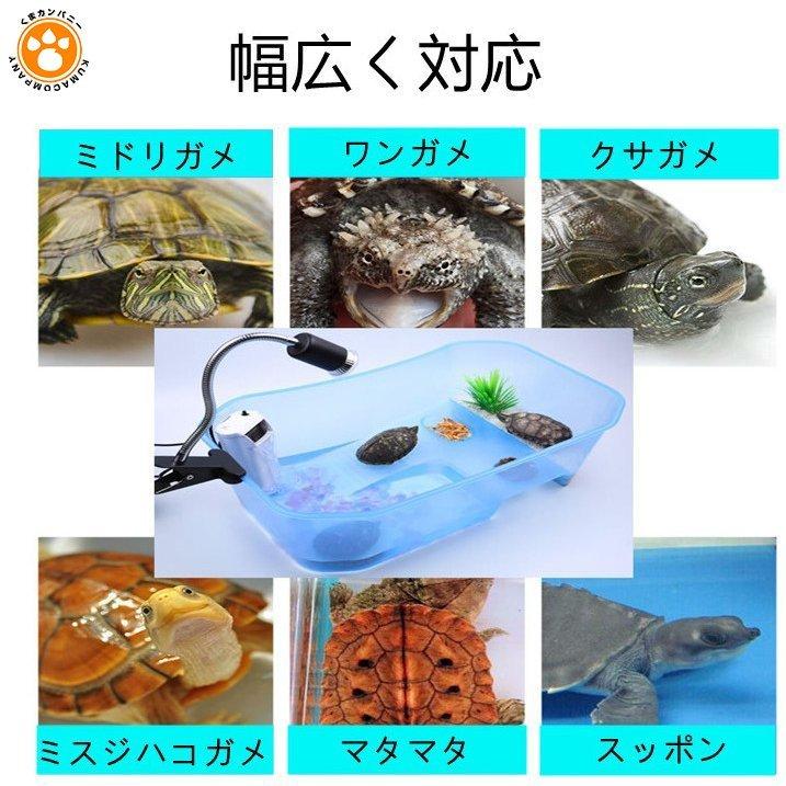 亀 水槽 カメ 飼育ケース ボックス タートルタンク 日向ぼっこ台 ミドリガメ クサガメ スッポン 観察 排水孔 階段 エサ皿 大 特大