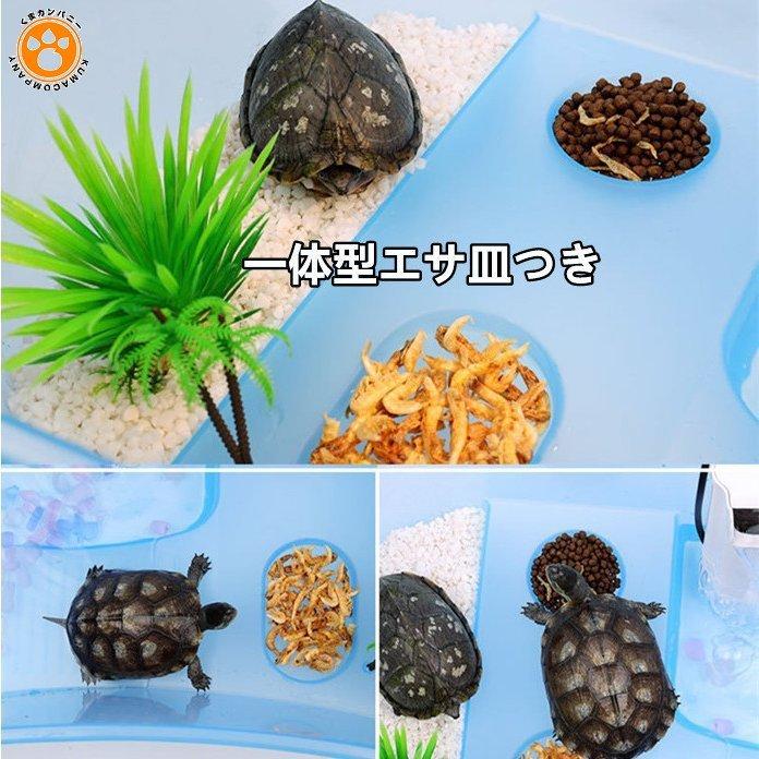 亀 水槽 カメ 飼育ケース ボックス タートルタンク 日向ぼっこ台 ミドリガメ クサガメ スッポン 観察 排水孔 階段 エサ皿 大 特大