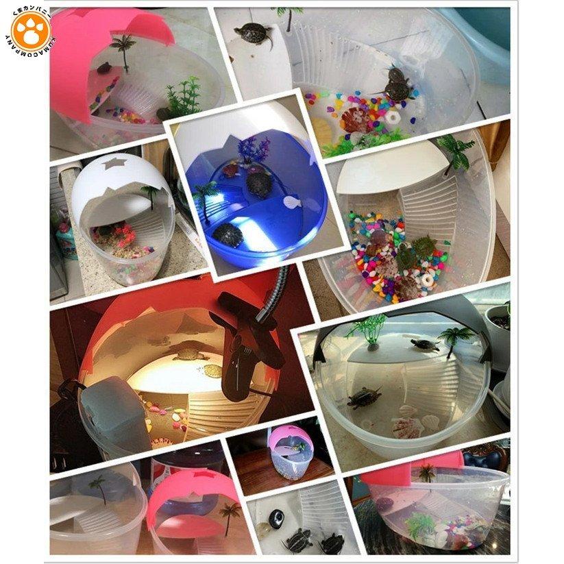 亀 爬虫類 水槽 飼育ケース タートルタンク カメ生息地 日向ぼっこ台 エサ皿 日よけ蓋 排水孔 ザリガニ 観察 ピンク