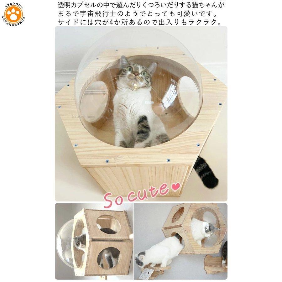 キャットステップ 壁付け 猫用 ハウス ハンモック キャットウォーク 壁 手作り 猫 幅28cm 棚板 棚 キャットタワー 木製 木 Diy ベッド Kmq くまカンパニー 通販 Yahoo ショッピング
