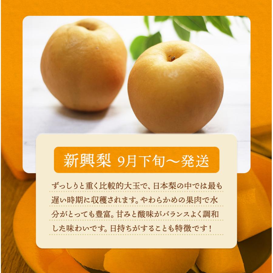 梨 訳あり 熊本産 豊水 秋月 新高 新興 約2kg 完熟なし 家庭用 規格外  