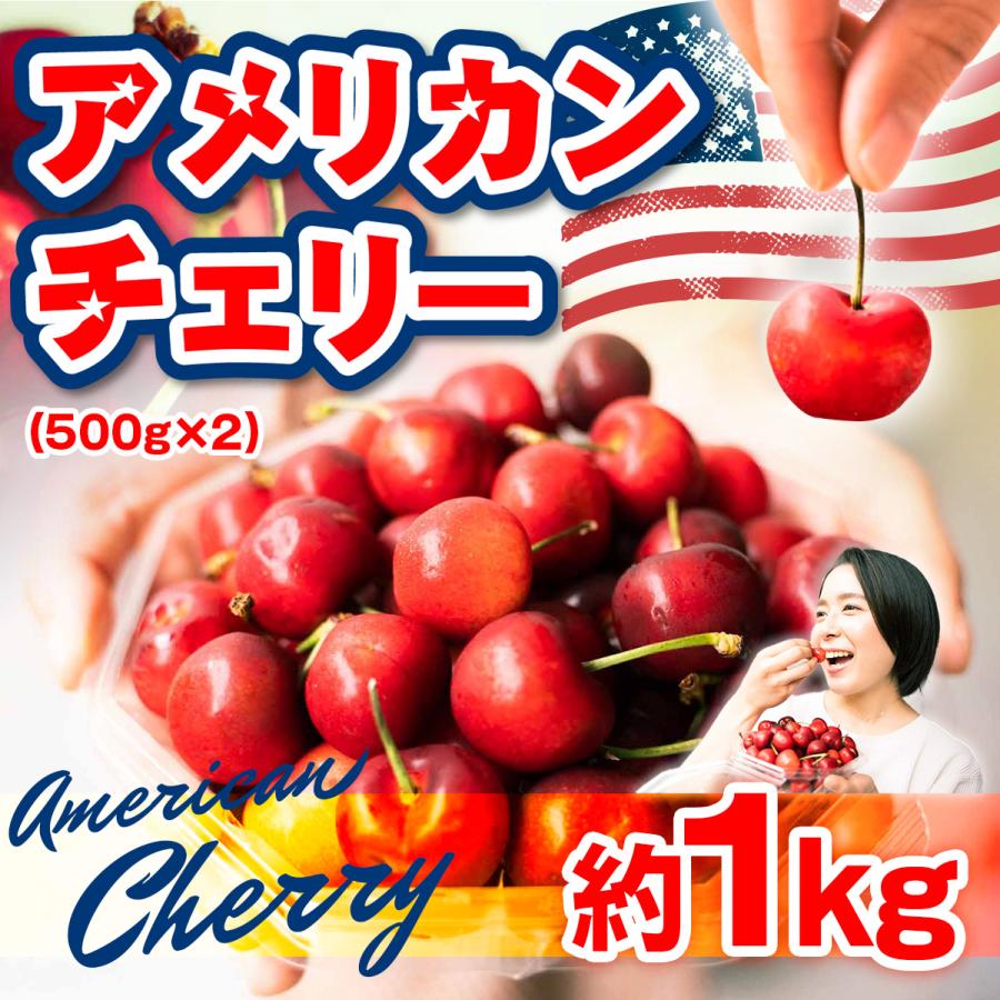 アメリカンチェリー さくらんぼ 1 2kg 送料無料 アメリカ産 果物 フルーツ チェリー Segurosaurora Com