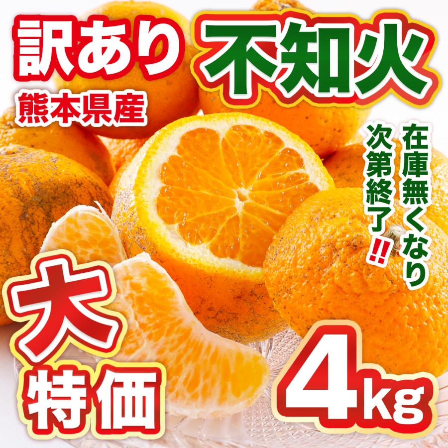 みかん 訳あり 不知火 デコポン 4kg 熊本産 越冬蔵出し不知火 みかん 訳あり 不知火 デコポン 4kg 熊本産 越冬蔵出し不知火