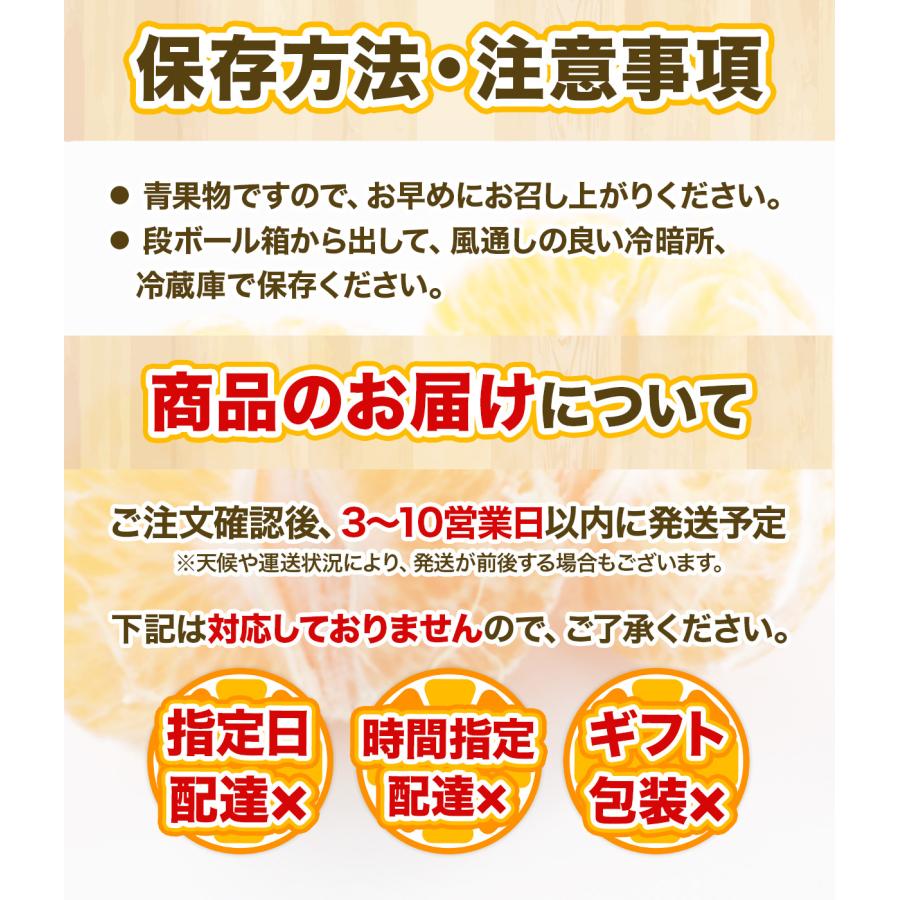 みかん 訳あり 不知火 デコポン 8kg 熊本産 越冬蔵出し不知火 規格外 ご家庭用 不揃い フードロス 最安値挑戦!! 期間限定大特価 常温便｜kumafuru｜07