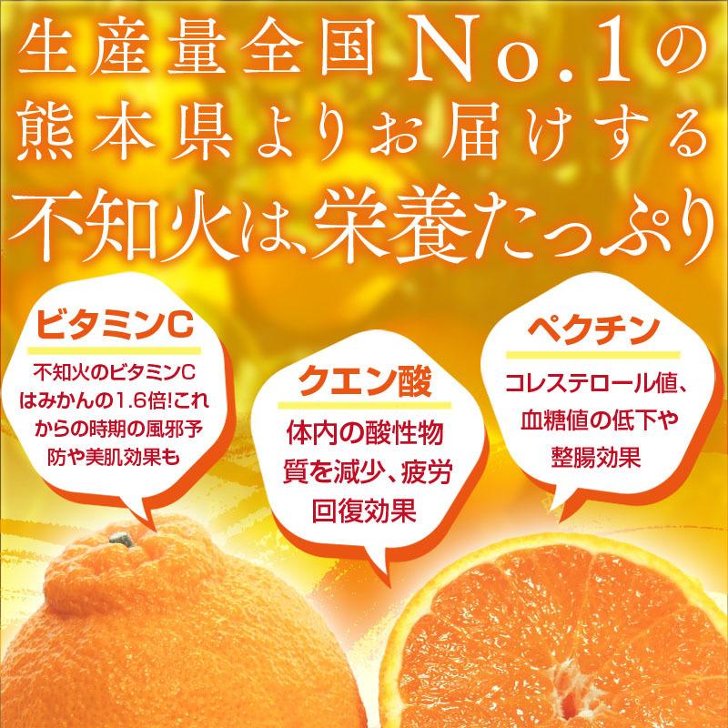 みかん 訳あり 不知火 デコポン 4kg 熊本産 訳あり 越冬蔵出し不知火 規格外 ご家庭用 不揃い フードロス 最安値挑戦!! 期間限定大特価 常温便｜kumafuru｜02