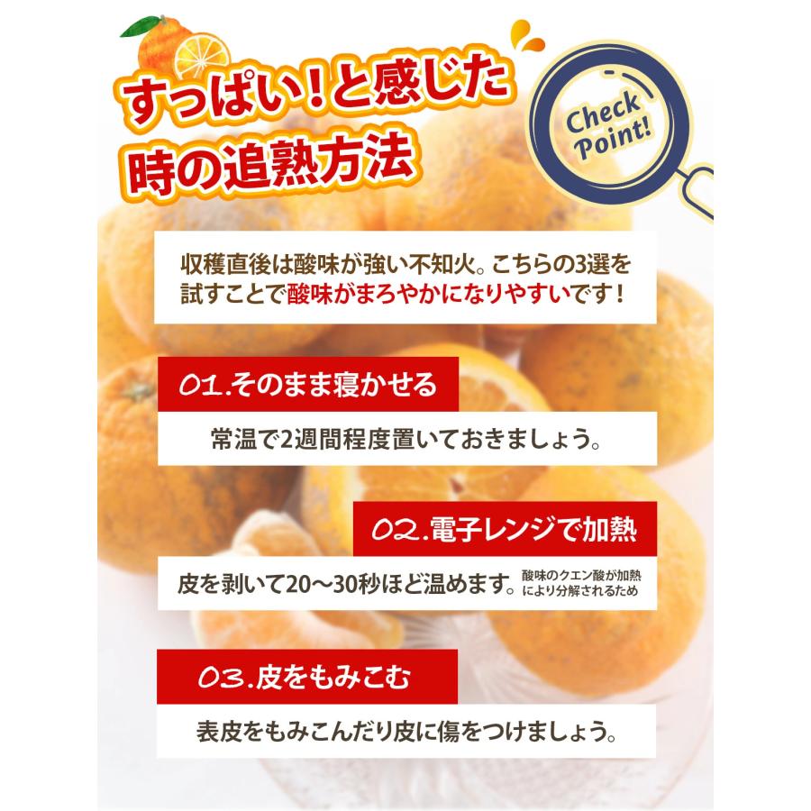 みかん 訳あり 不知火 大特価セール 約5kg 約2kg 500g保証付き 熊本産