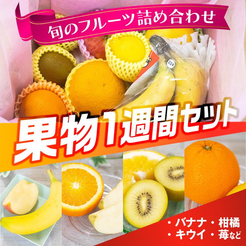 フルーツさん専用 フルーツサンドに最適な三角サンド袋 幅60ミリ 6円／枚