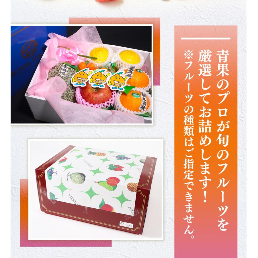 旬のフルーツギフトA 季節の果物 詰め合わせ フルーツ 父の日 プレゼント ギフト お供え 贈り物 お祝い 贈答 のし お土産 クール便｜kumafuru｜03