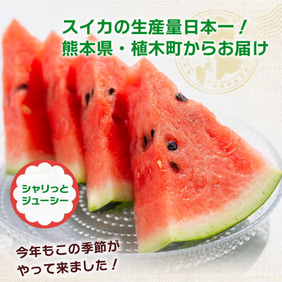 同梱不可】 高知県産スイカ大玉 即購入OK 高知県産スイカ大玉、即購入OK