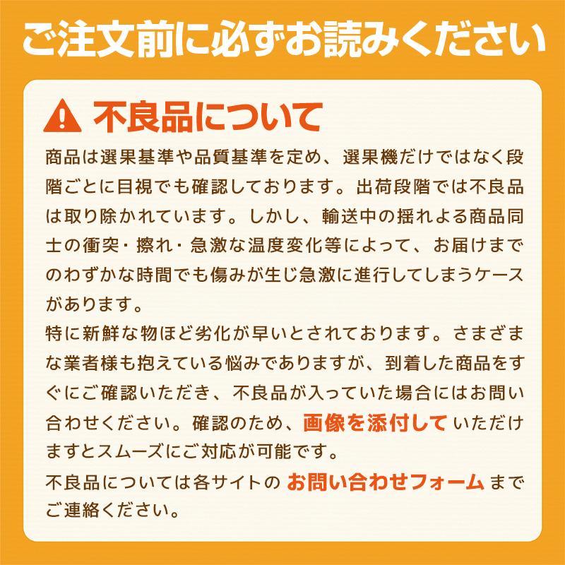 米 10kg 5kg×2袋 無洗米 ひのひかり 熊本産 最新年度産 精米 うるち 白米 お米 ご飯｜kumafuru｜08